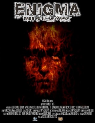 Enigma (2008) afişi