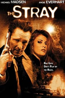 The Stray (2000) afişi