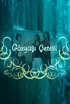 Gözyaşı Çetesi (2006) afişi