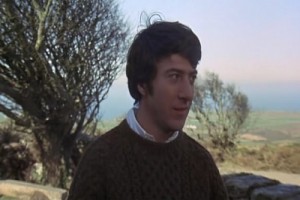 Köpekler Fotoğrafı