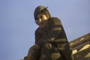 Köpekler Fotoğrafı