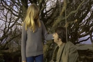 Köpekler Fotoğrafı