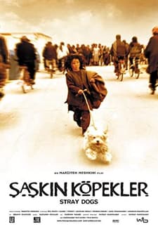 Şaşkın Köpekler (2004) afişi