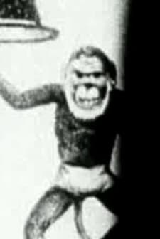 Ölüm Treni (1993) afişi