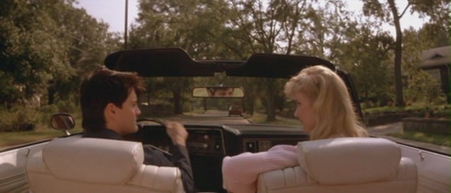 Mavi Kadife Fotoğrafı