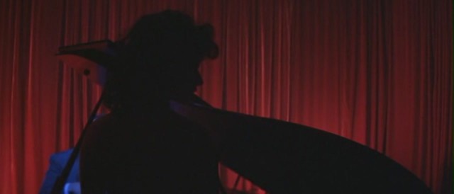 Mavi Kadife Fotoğrafı