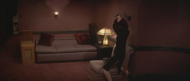 Mavi Kadife Fotoğrafı