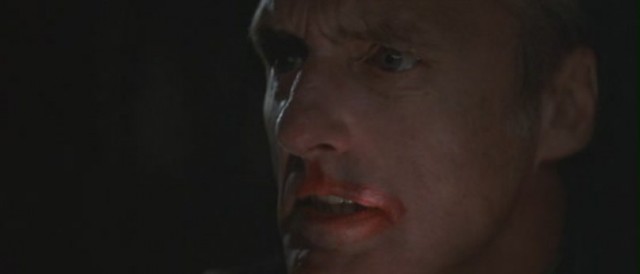 Mavi Kadife Fotoğrafı