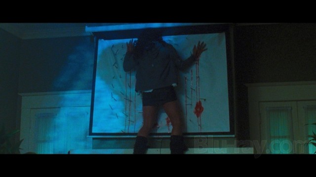 Koleksiyoncu fotoğrafı