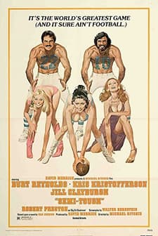 Semi-Tough (1977) afişi