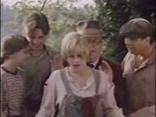 Wildflower fotoğrafı