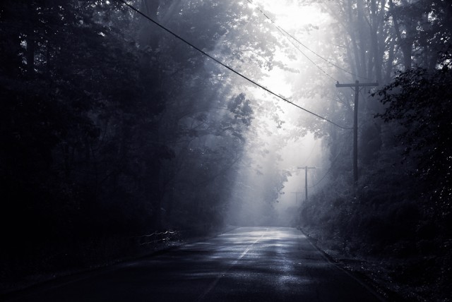 Luz Del Fuego Fotoğrafı