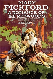 A Romance of the Redwoods (1917) afişi