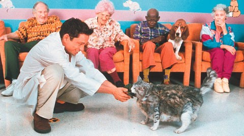 Salako Romano fotoğrafı