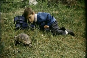 Mayıs Sıkıntısı Fotoğrafı