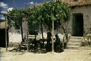 Mayıs Sıkıntısı Fotoğrafı