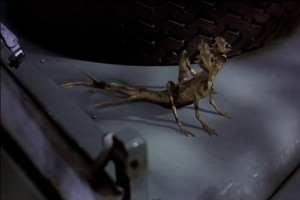 Varoluş Fotoğrafı