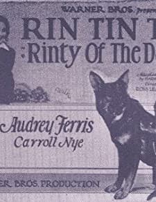 Rinty Of The Desert (1928) afişi