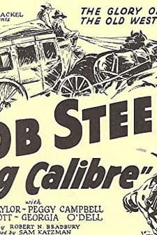 Big Calibre (1935) afişi