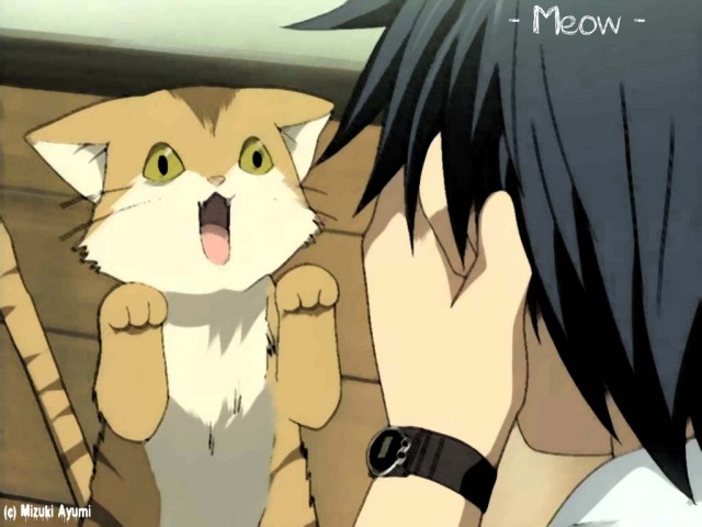 Clannad: After Story Fotoğrafı