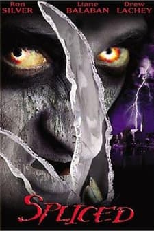 The Wisher (2002) afişi