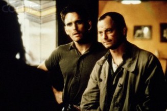 Albino Timsah fotoğrafı