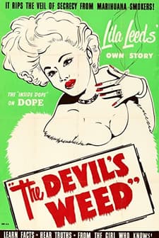 Wild Weed (1949) afişi