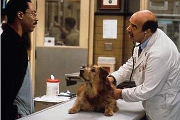 Dr. Dolittle fotoğrafı