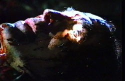 Funeral Home Fotoğrafı