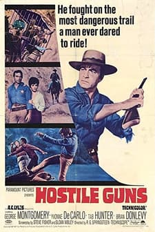 Hostile Guns (1967) afişi