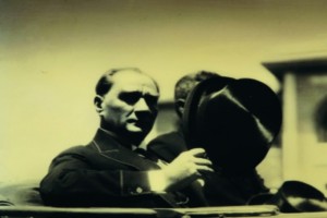 Sarı Zeybek fotoğrafı