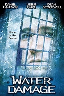 Water Damage (1999) afişi