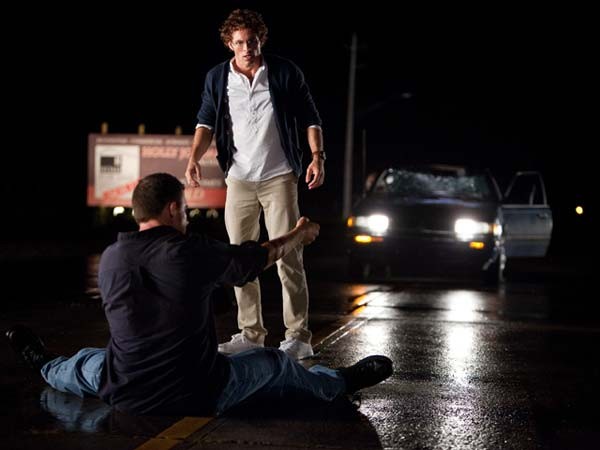 Köpekler fotoğrafı