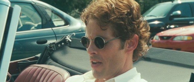 Köpekler Fotoğrafı