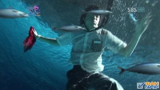 Mackerel Run Fotoğrafı