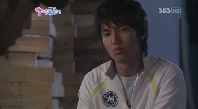 Mackerel Run fotoğrafı