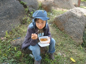 Baykuş Ve Serçe Fotoğrafı