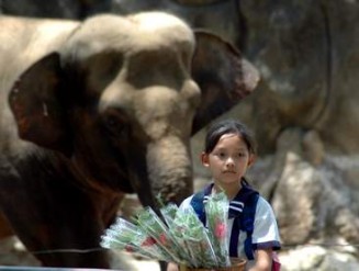 Baykuş Ve Serçe fotoğrafı