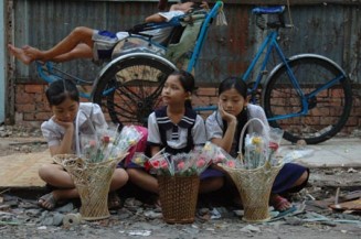 Baykuş Ve Serçe fotoğrafı