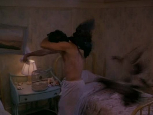 Kuşlar 2 Fotoğrafı