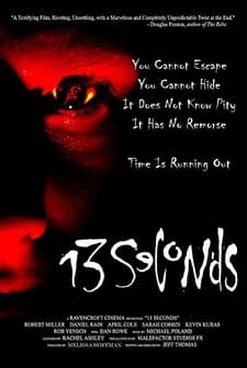 13 Saniye (2003) afişi