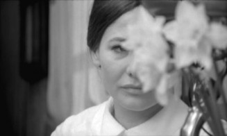 Szerelem Fotoğrafı