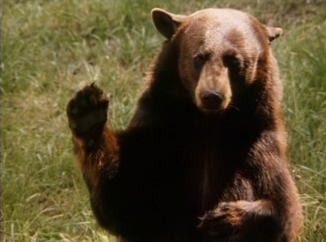 Zamanın Sonu Fotoğrafı