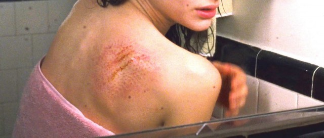 Siyah Kuğu Fotoğrafı