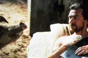 Hayvanlar Melekler Ve İnsanlar fotoğrafı