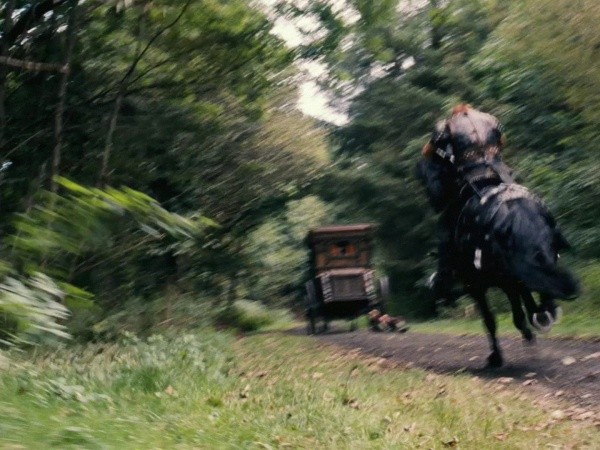 Kafadar Prensler Fotoğrafı