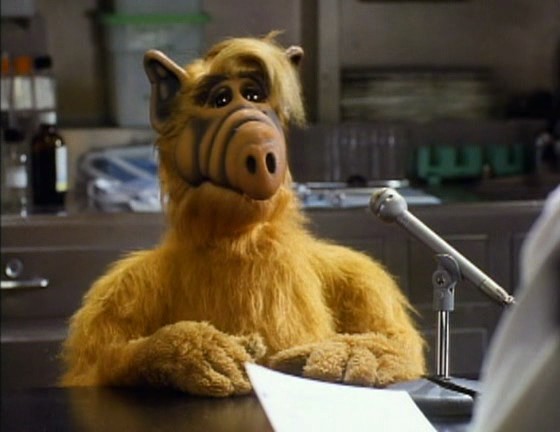 Project: Alf fotoğrafı