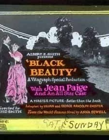 Black Beauty (1921) afişi
