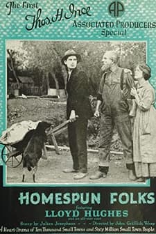 Homespun Folks (1920) afişi