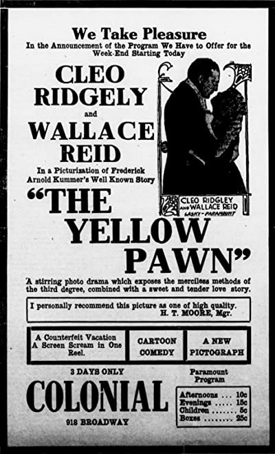 The Yellow Pawn (1916) afişi